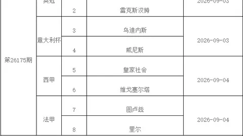 墨超联赛深度解析：精彩比分与胜负